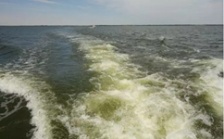  烏梁素海生態(tài)環(huán)境形勢(shì)仍不樂(lè)觀 綜合治理規(guī)劃不嚴(yán)不實(shí)