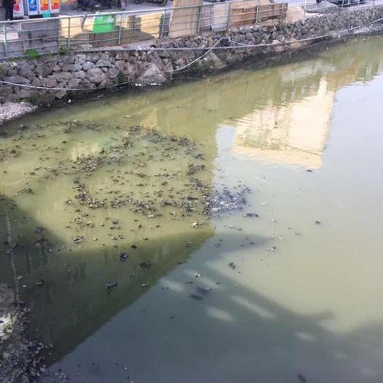  秋冬交替，污泥又到了換季膨脹的季節(jié)