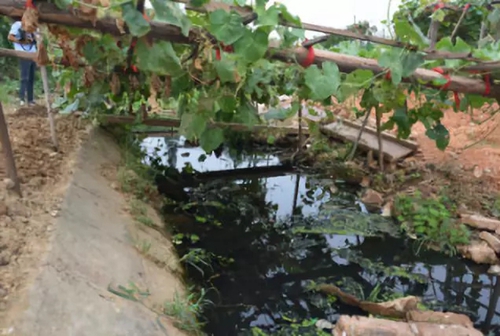 長(zhǎng)沙市后湖：徹底消除黑臭，實(shí)現(xiàn)&ldquo;長(zhǎng)治久清&rdquo;