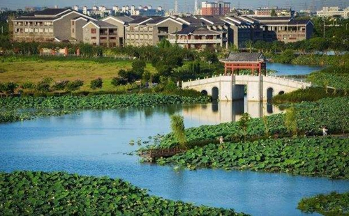 從&ldquo;優(yōu)環(huán)境&rdquo;到&ldquo;強(qiáng)產(chǎn)業(yè)&rdquo;再到&ldquo;惠民生&rdquo; 東莞市麻涌鎮(zhèn)走通綠色發(fā)展&ldquo;閉環(huán)&rdquo;