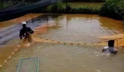 水渾了？不用怕，這五個(gè)方面讓水質(zhì)恢復(fù)清新