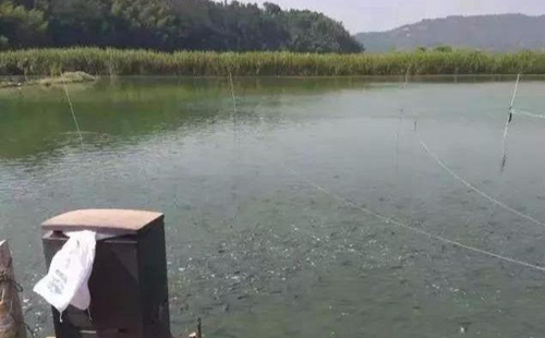 水渾了？不用怕，這五個(gè)方面讓水質(zhì)恢復(fù)清新